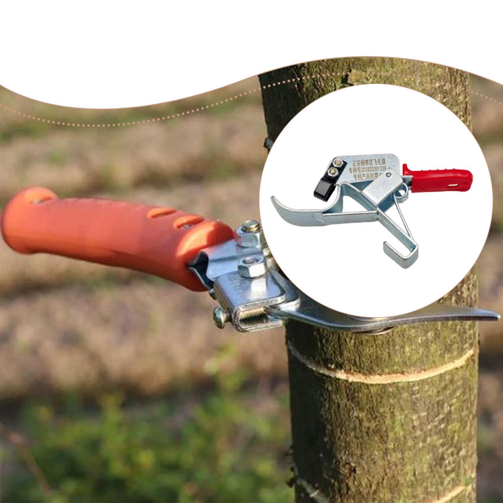 Gardening Tools Essential - أداة تثبيت جذوع أشجار الفاكهة، أداة