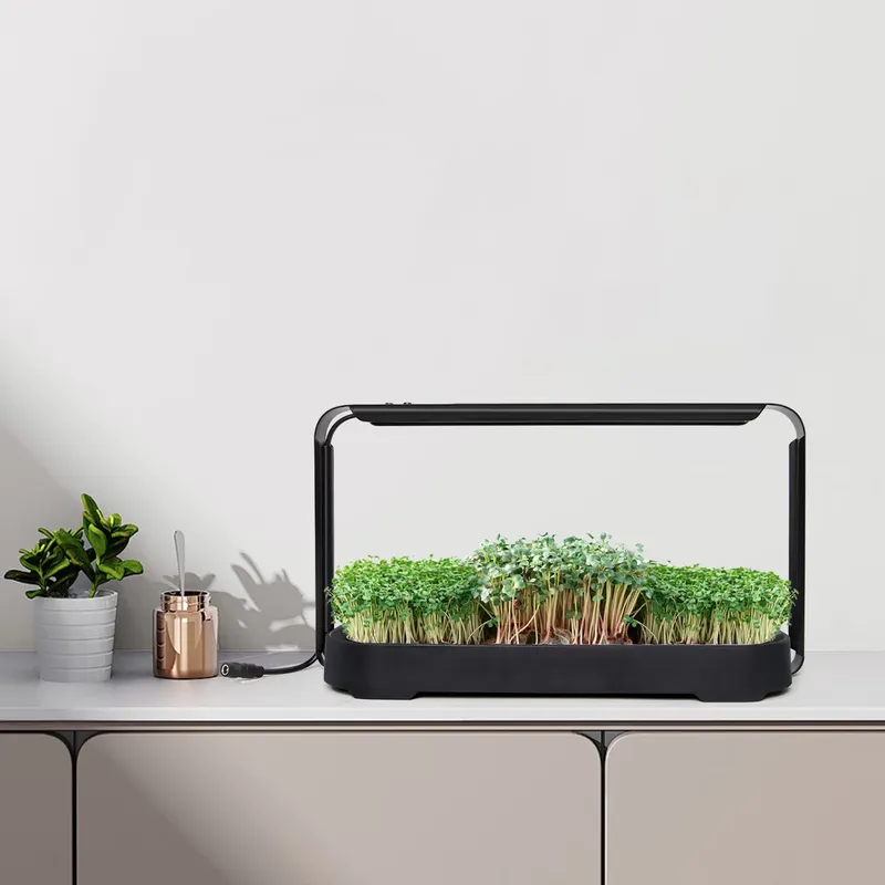 نظام زراعة ميكروجرينز هيدروبون - مراجعة Self-Watering Planter وسعره