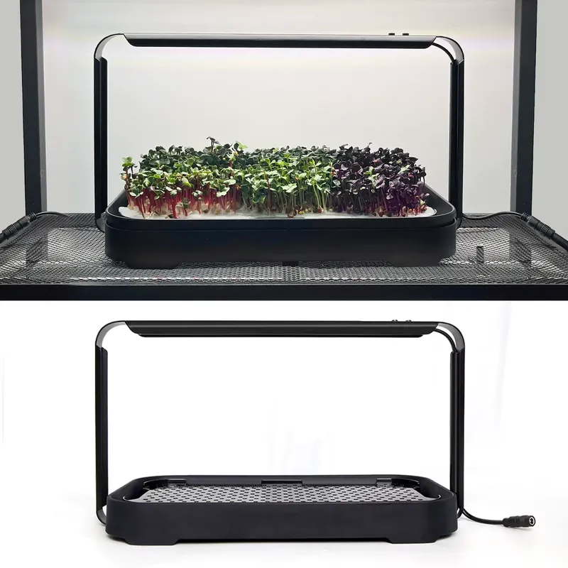 نظام زراعة ميكروجرينز هيدروبون - مراجعة Self-Watering Planter وسعره