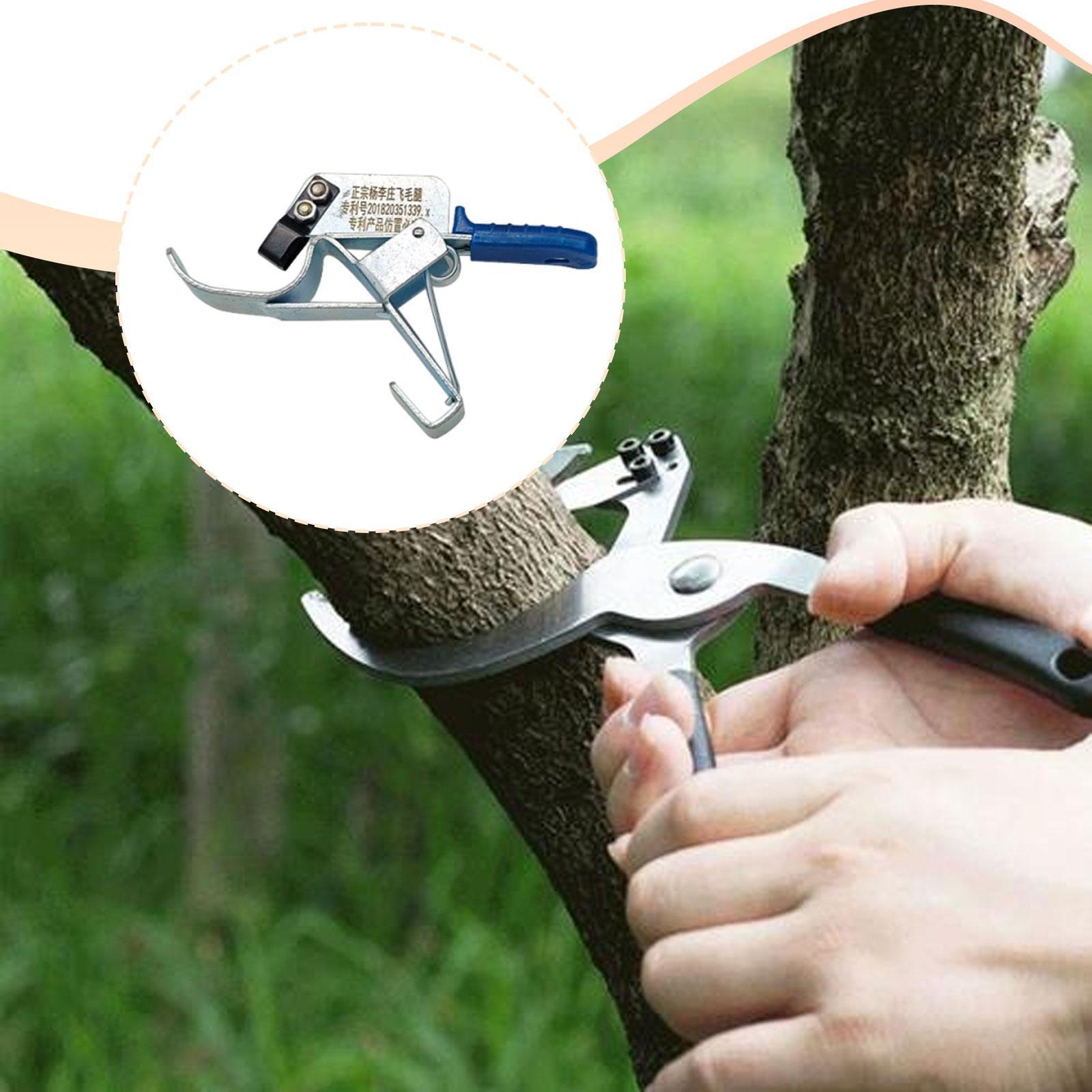 أداة تقويس أشجار الفاكهة، أداة - مراجعة Gardening Tools Essential وسعره